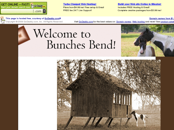 www.bunchesbendhorses.com