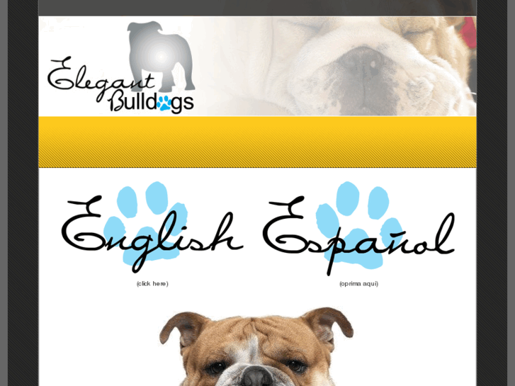 www.elegantbulldogs.com