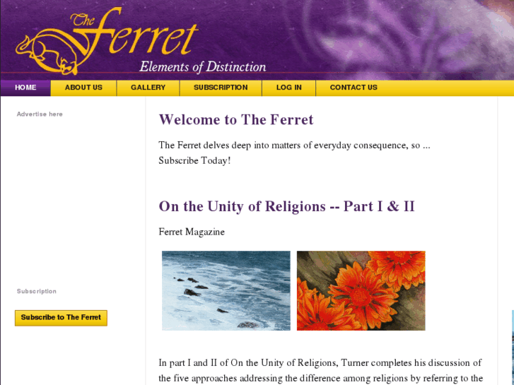 www.ferretmag.com