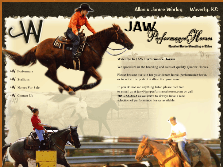 www.jawperformancehorses.com