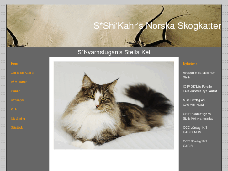 www.norskskogkatt.net