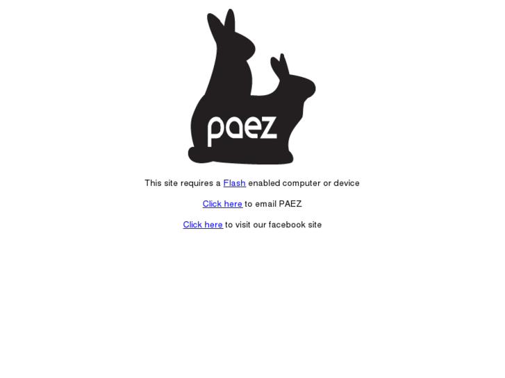 www.paezsouthafrica.com