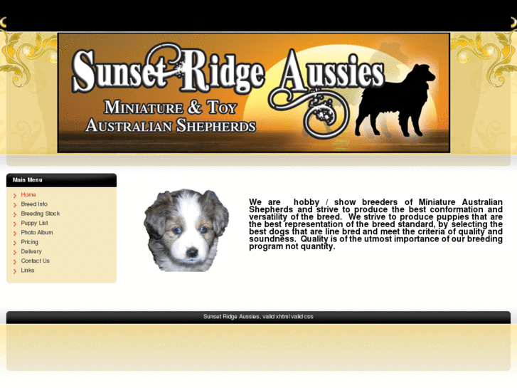 www.sunsetridgeaussies.com