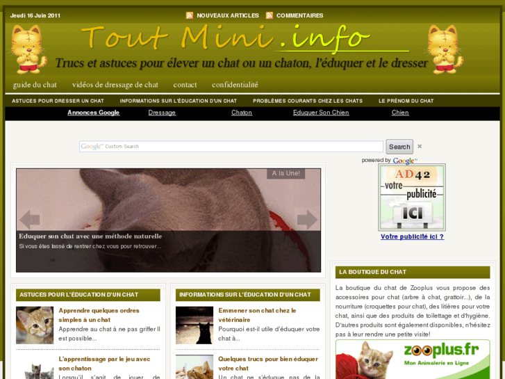 www.toutmini.info