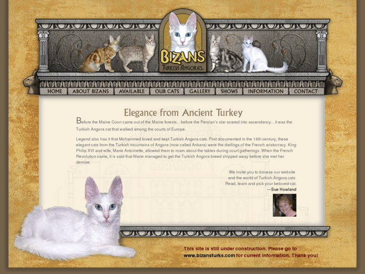 www.turkishangora-cats.com