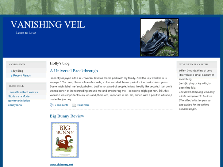 www.vanishingveil.com