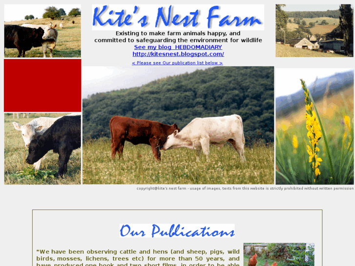 www.kitesnest.co.uk