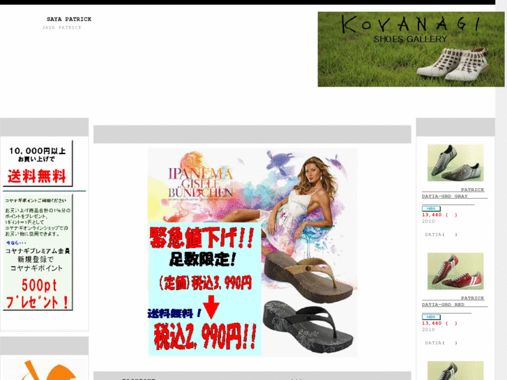 www.koyanagi-gallery.com