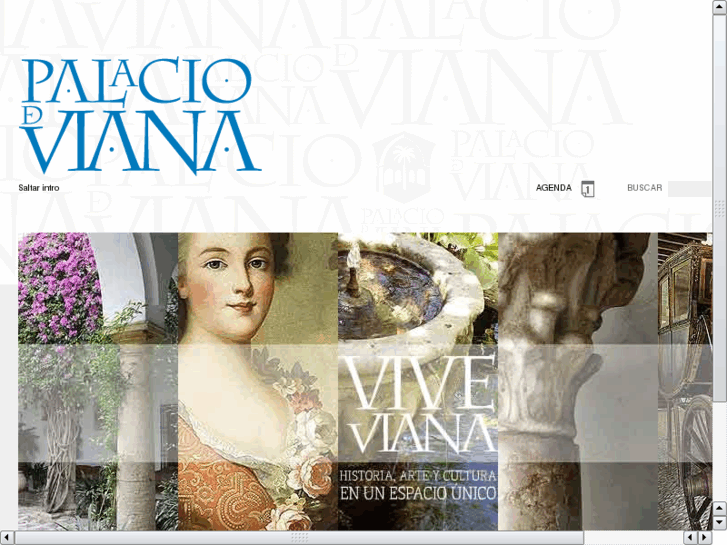 www.palacioviana.org