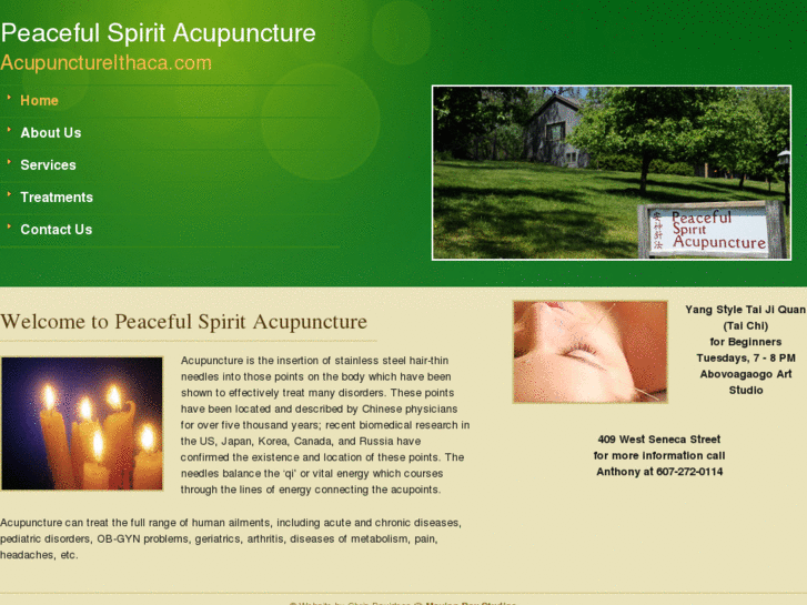 www.acupunctureithaca.com