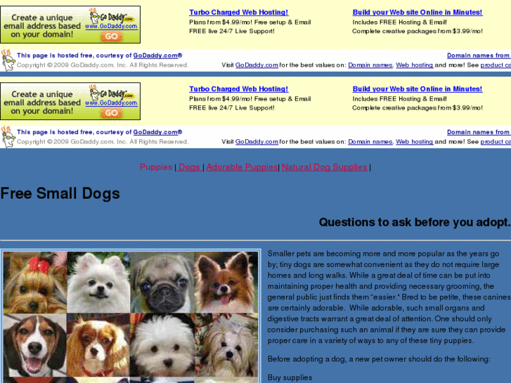 www.freesmalldogs.net