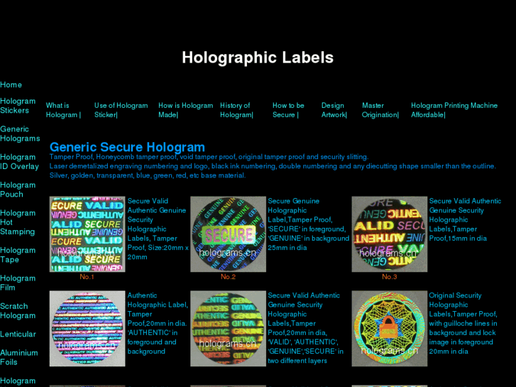 www.holographic-holographic.com