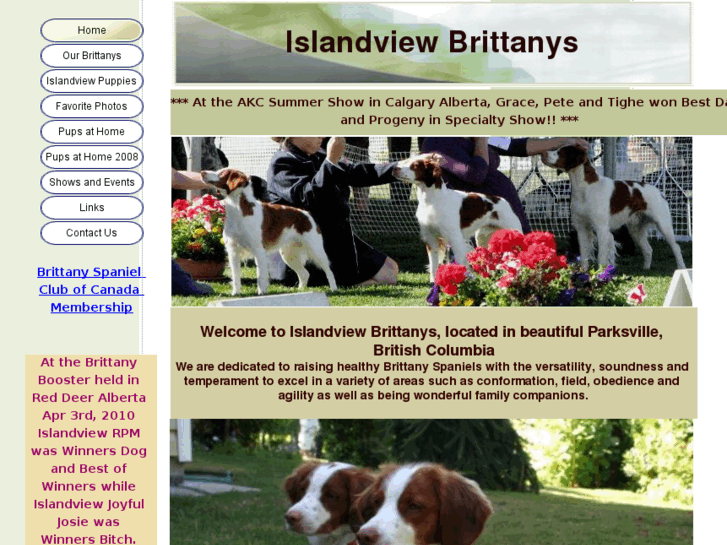 www.islandviewbrittanys.com