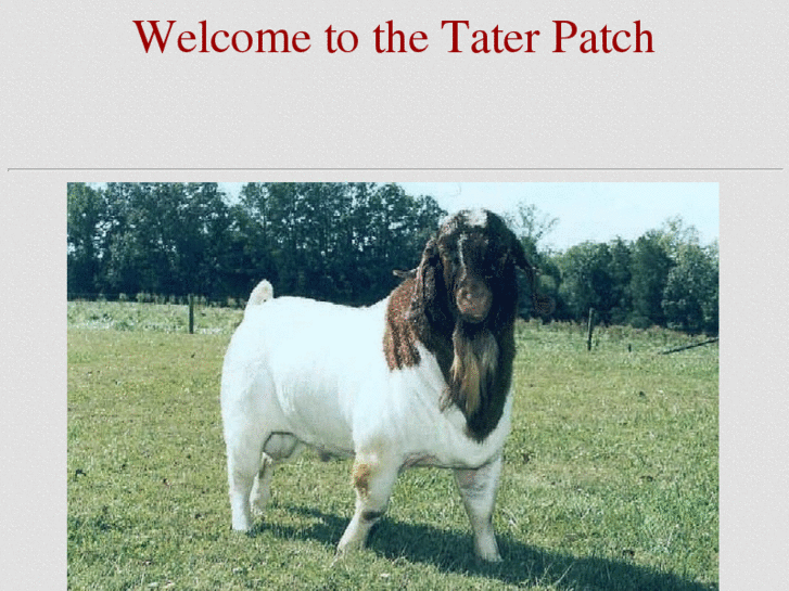 www.taterpatchboers.com