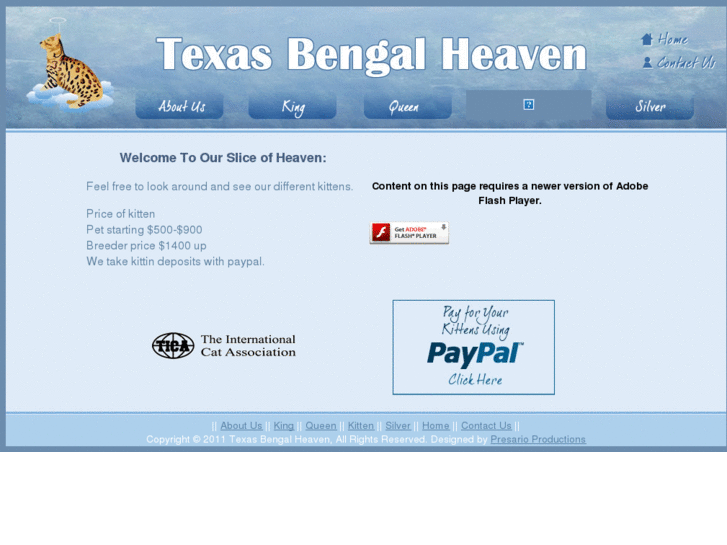 www.texasbengalheaven.com