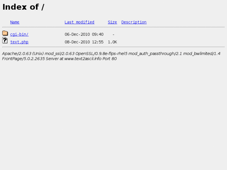 www.text2ascii.info