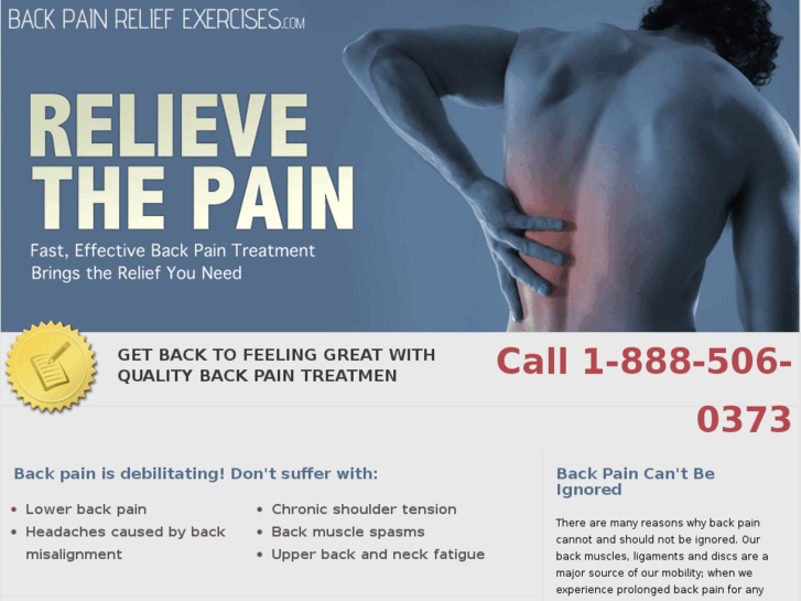 www.backpainreliefexercises.com