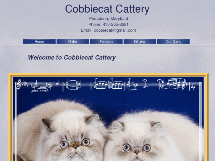 www.cobbiecat.com