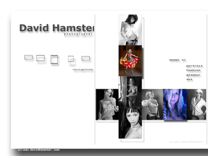 www.davidhamster.com