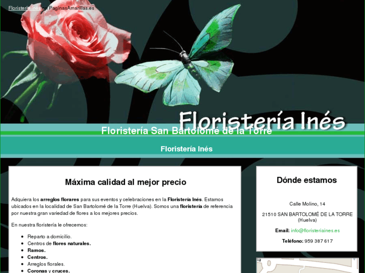 www.floristeriaines.es