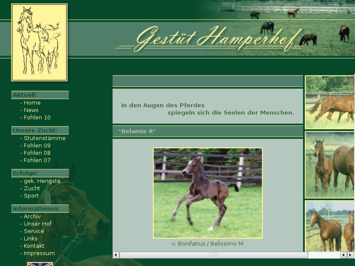 www.gestuet-hamperhof.de