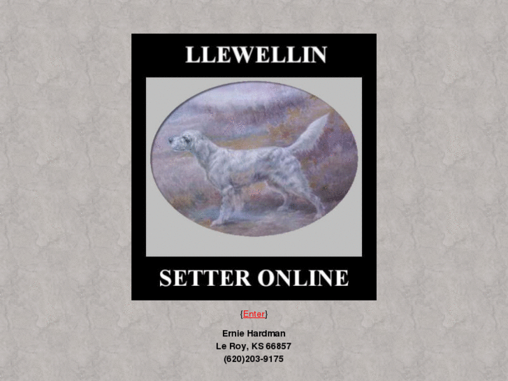 www.llewellinsetter.net