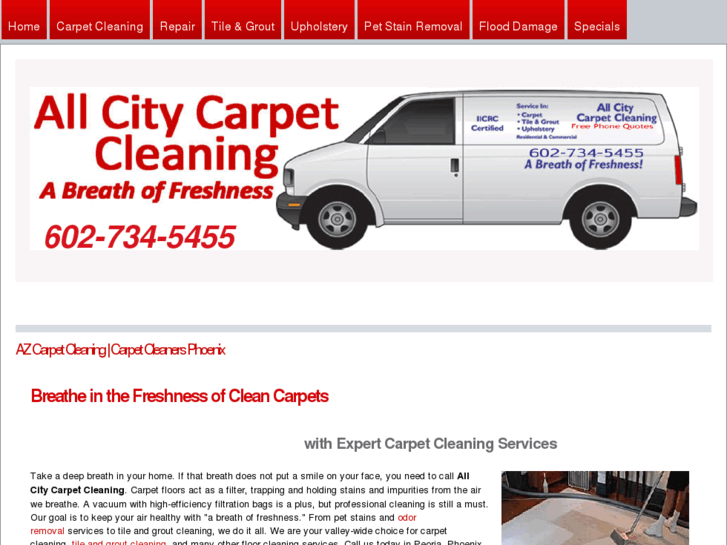 www.myazcarpetcleaning.com