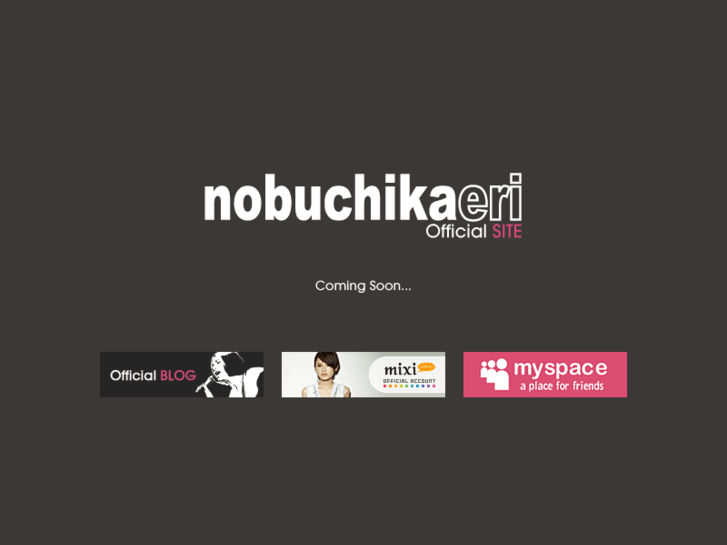 www.nobuchikaeri.com