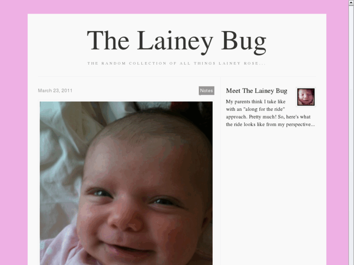 www.thelaineybug.com