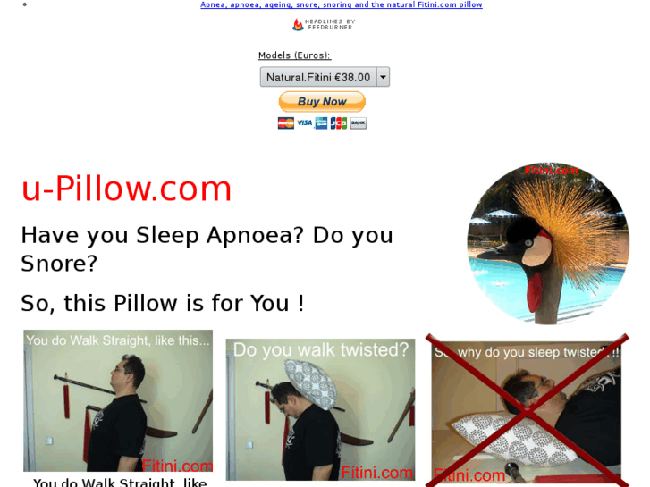 www.u-pillow.com