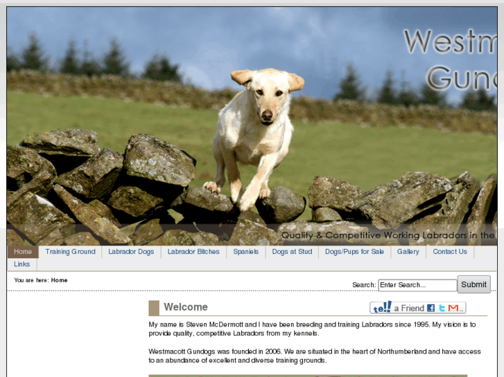 www.westmacottgundogs.co.uk