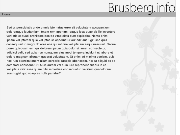 www.brusberg.info