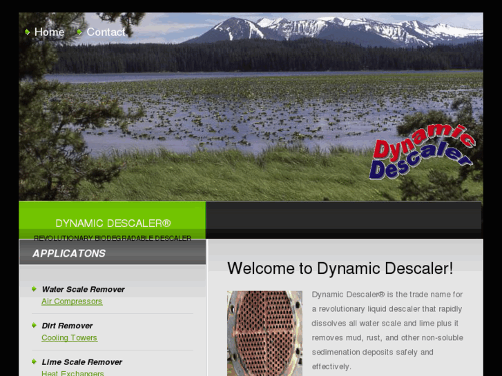 www.dynamic-descaler.com