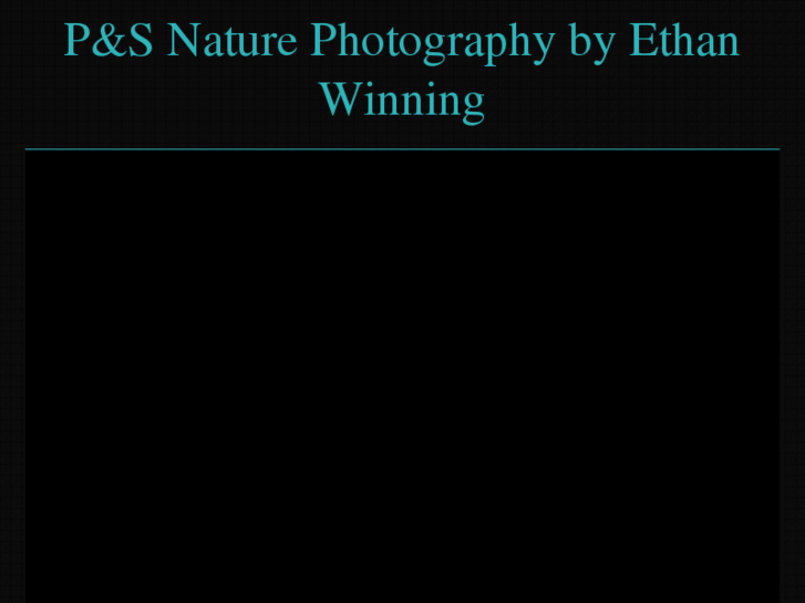 www.ethanwinning.com