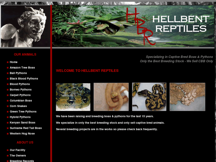 www.hellbentreptiles.com