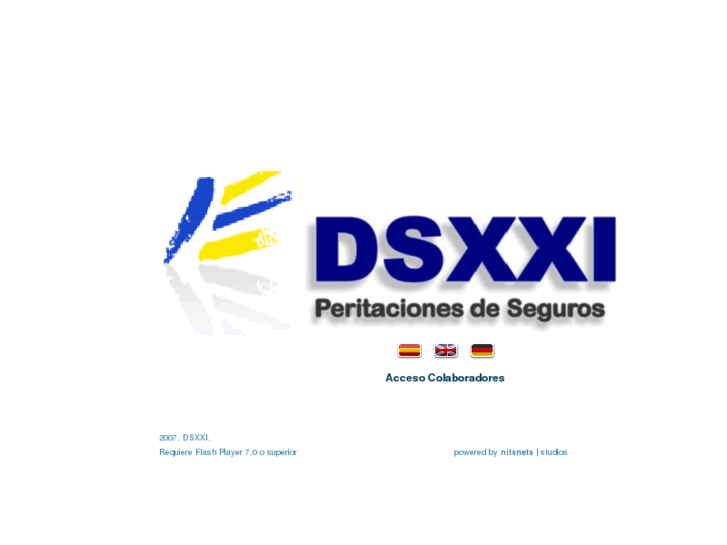 www.dsxxi.com