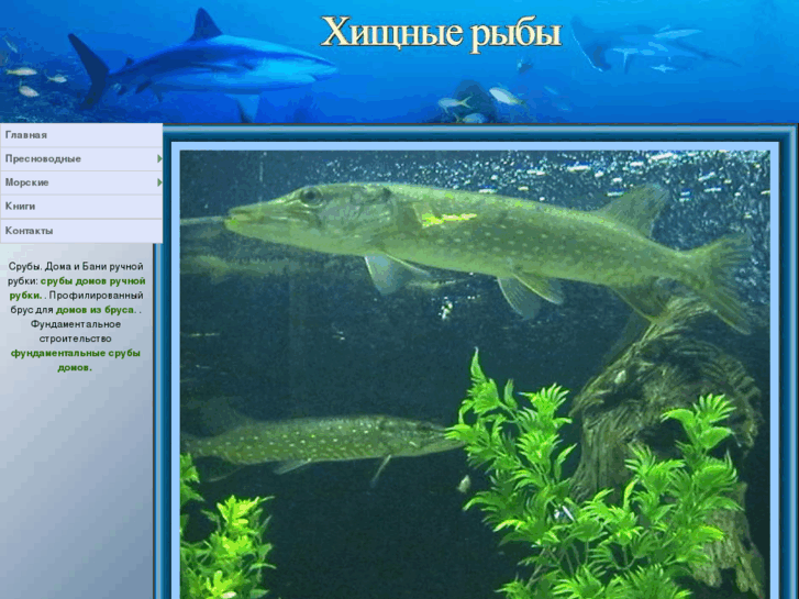 www.fish-predator.info