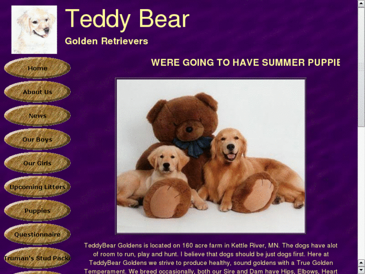 www.teddybeargoldens.com