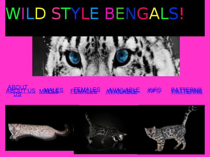 www.wildstylebengals.com