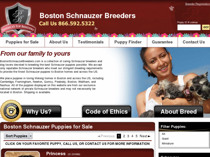 www.bostonschnauzerbreeders.com