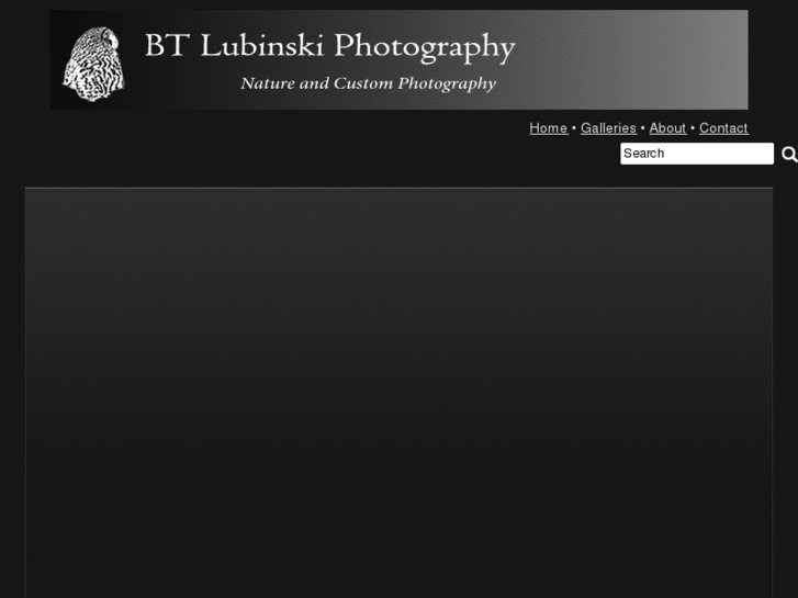 www.btlubinski.com