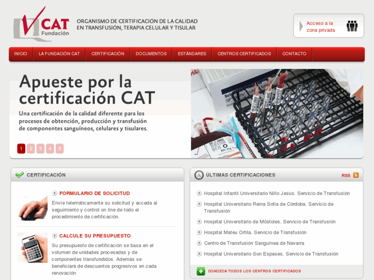 www.catransfusion.es