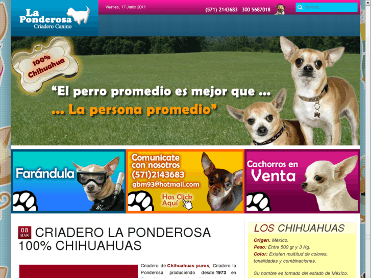 www.chihuahuaslaponderosa.com