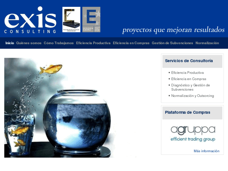 www.exisconsulting.org