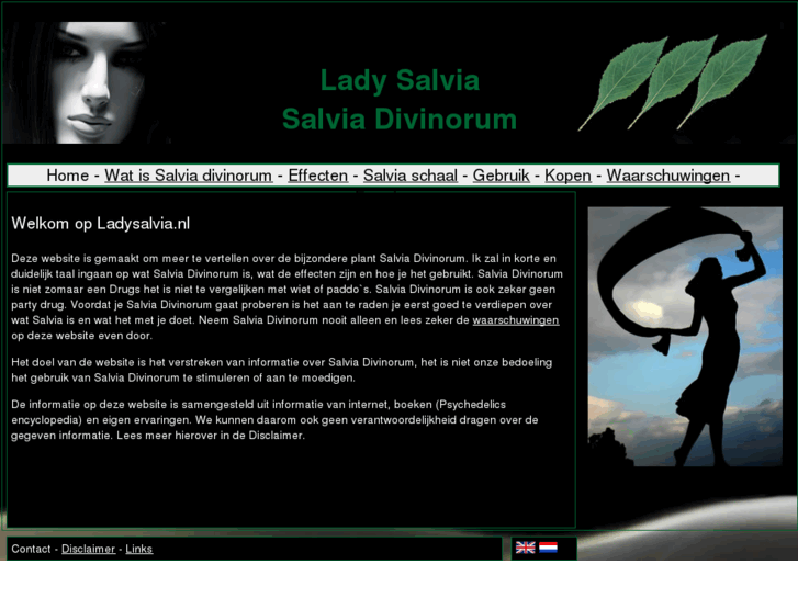 www.ladysalvia.nl