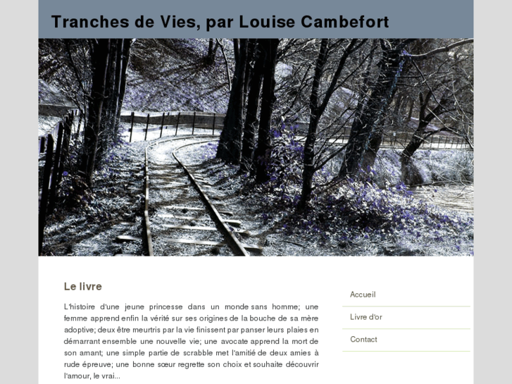 www.louisecambefort.com