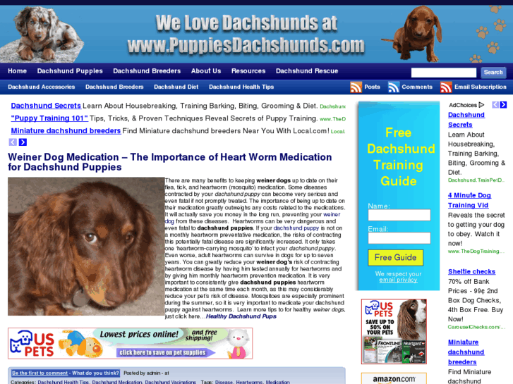 www.puppiesdachshunds.com