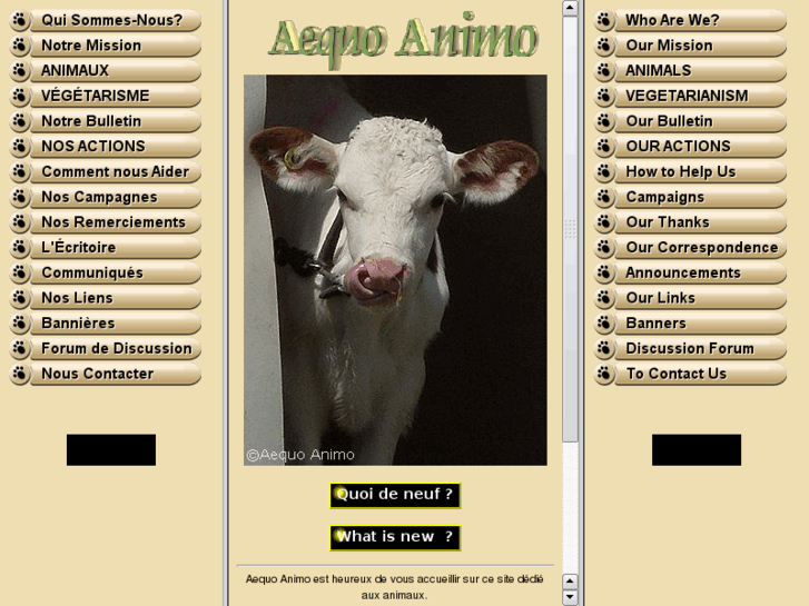 www.aequoanimo.com