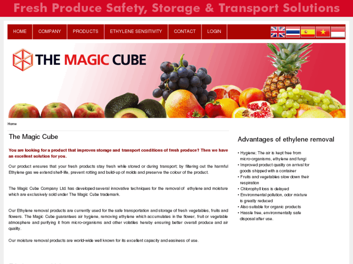 www.themagiccube.com