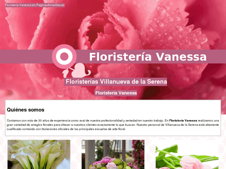 www.floristeriavanessa.es